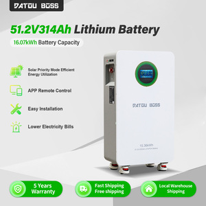 Système de stockage d'énergie solaire domestique DATOU BOSS 51.2V 314AH LiFePO4 16KWH, <span class=keywords><strong>batterie</strong></span> au lithium <span class=keywords><strong>pour</strong></span> <span class=keywords><strong>maison</strong></span>, extérieur, résidentiel - Product Image 2