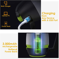 Lampe LED 3 en 1 avec batterie intégrée et port USB, alimentée par pile, luminaire décoratif d'intérieur, idéal pour le Camping