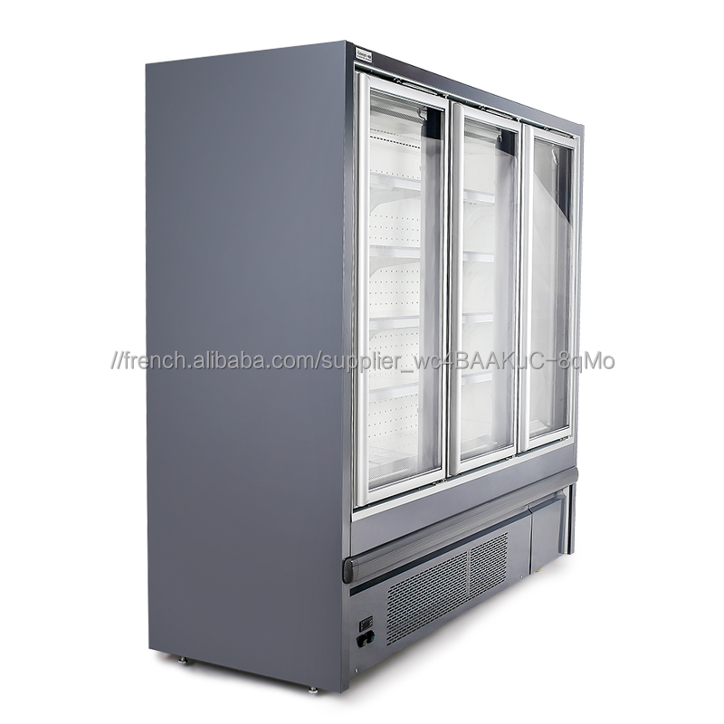 Supermarché Commercial Adapté Aux Besoins Du Client de Réfrigérateur de Porte En Verre Armoire Pour Le Refroidissement Des Alime