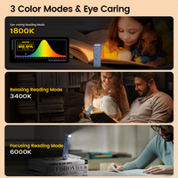 Lampe de lecture LED pour livre, rechargeable par mini USB, batterie lithium 500 mAh, 3 couleurs ambre et 5 niveaux de luminosité réglables, format marque-page, vente en gros