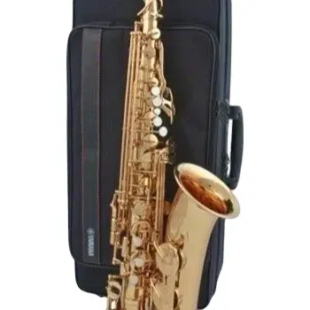 Montreux Student Altsaxophon Qualitäts starter Eb Saxophon Goldlack mit Etui