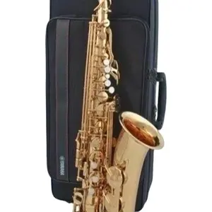 Montreux saxophone saxophone ชุดเริ่มต้นใช้งานแซ็กโซโฟนสีทองพร้อมเคส