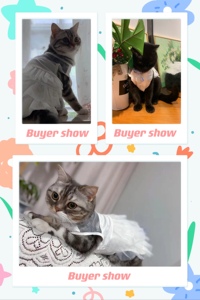 กระโปรงสุนัขลูกไม้หรูหราสำหรับสุนัขชุดเดรสเจ้าหญิงสำหรับสัตว์เลี้ยงสำหรับงานแต่งงาน - Product Image 6