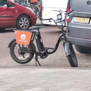 Pneu électrique Carge E Bike 500w moteur 20x4 pouces gros pneu électrique adulte Cargo vélo électrique - Product Image 4