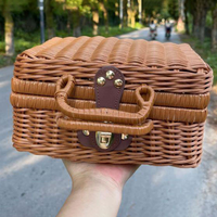 Panier de pique-nique rectangulaire en rotin marron pour enfants, mignon, en plastique, style vintage, écologique, avec poignées métalliques, pour la vente au détail et en gros