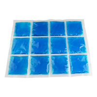 Packs de glace réutilisables pour congélateur, flexibles et longue durée, idéaux pour les besoins médicaux et les activités de plein air