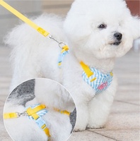 Nouvel ensemble de harnais et laisse de luxe pour chien et chat, anti-dérapant, réglable, respirant, en maille douce, personnalisé, anti-traction