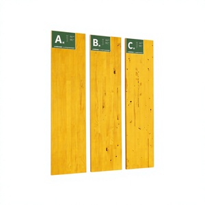 Pannello in compensato laminato antiscivolo da 21 mm, impermeabile, 1250x2500 mm, per impalcature - Product Image 1