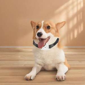 Localizador <span class=keywords><strong>GPS</strong></span> para Mascotas, Dispositivo Antipérdida Global, Localizador Bluetooth FIND MY, Compatible con el Sistema Apple IOS, Localizador de Rastreo de Mascotas <span class=keywords><strong>GPS</strong></span> - Product Image 2