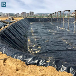 Nhựa <span class=keywords><strong>geomembrane</strong></span> Pond Hồ Bơi Lót cho cá trang trại - Product Image 2