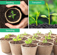 Vente en gros de transplanteur de fibres végétales biodégradables EG Plateau Pâte à papier Fleur Plante Pots de tourbe Semis Léger Durable