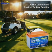 Batterie LiFePO4 12,8V 120Ah Grade A Marine 6000 Deep Cycle pour Chariot de Golf avec BMS Intelligent RS485, Terminal M8, CE RoHS IP67, OEM ODM