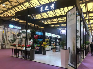 Vasi per Piante Succulente con Design a Filo Metallico per Arredamento Casa (SS03 LS-3) per Uso in Giardino o Esterno - Product Image 5