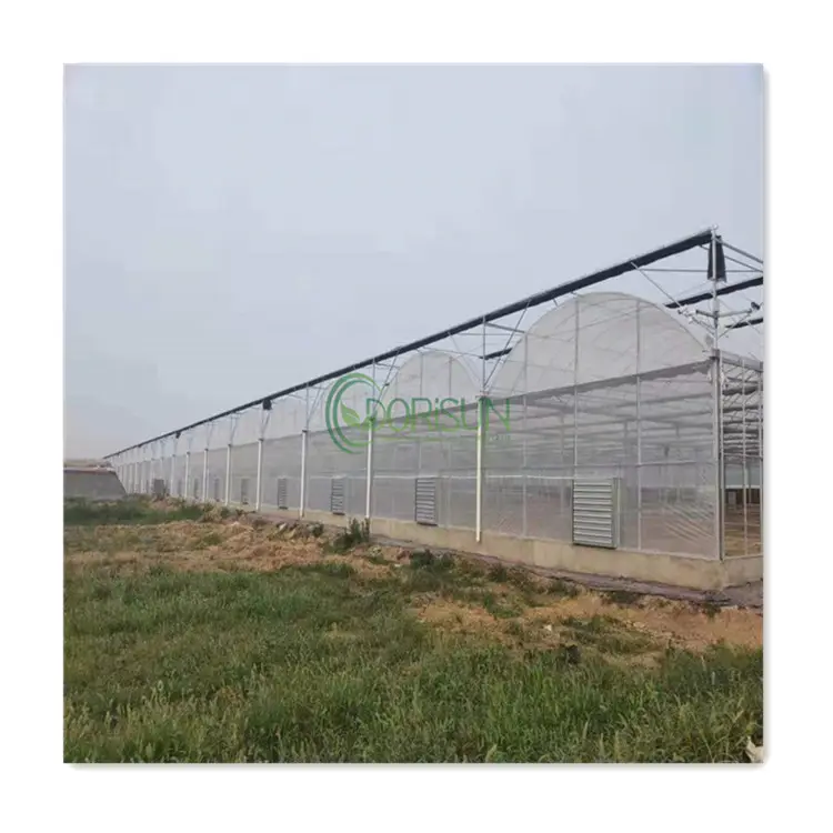 Équipement agricole Ferme Diy Cadre froid Film plastique transparent Film plastique rétractable Serre