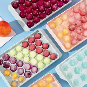 畅销33格食品塑料冰淇淋工具夏季冰棒格子工具冰淇淋模具