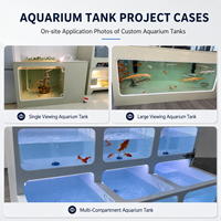 Langlebiges Quadratisches Garnelenzucht-Becken-System für Schildkröten-, Koi- und Fischzucht sowie Aquakultur-Ausrüstung Fischzuchtbecken