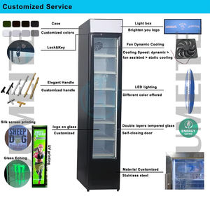 Réfrigérateur Vitrine Vertical pour Boissons Gazeuses et Bouteilles, Idéal pour Supermarchés (Coca-Cola, Pepsi) - Product Image 5