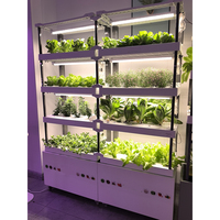 Machine de culture hydroponique verticale automatique intelligente Seeda pour plantes d'intérieur, multi-niveaux, sans terre, facile à utiliser à la maison