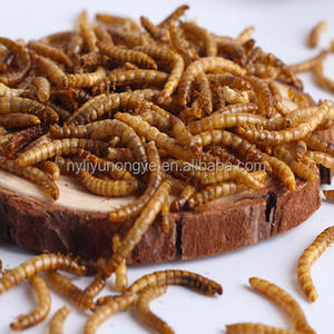 Vente en gros d'aliments naturels à haute teneur en protéines pour animaux de compagnie Insecte comestible Ver de farine séché pour oiseaux Poissons d'aquarium - Product Image 4