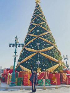 Aran — décoration de festival en plein air, grand arbre de <span class=keywords><strong>noël</strong></span>, commercial, en acrylique, avec changement de couleur brillante, taille de 10m, nouvelle collection <span class=keywords><strong>2022</strong></span> - Product Image 6