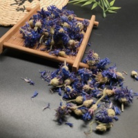 Kedatangan Baru Bunga Jagung Biru Kering Alami Asli untuk Teh Herbal, Grosir Teh Bunga