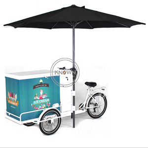 Vélo cargo réfrigéré à trois roues motorisé électrique OEM pour la livraison de glaces et de boissons fraîches - Product Image 1