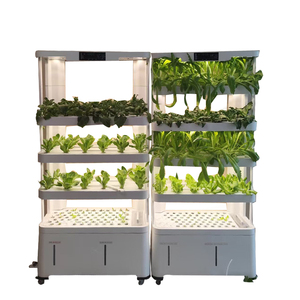 Sistema de Cultivo Hidropónico Vertical Inteligente de Múltiples Niveles con Control Remoto Desmontable AM5 para Cultivo de Frutas y Verduras en Interiores - Product Image 3