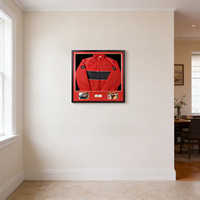 Boîte de présentation pour maillot de course, cadre mural avec doublure rouge et protection UV pour vêtements signés