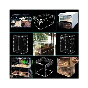 arboricole terrarium Suppliers-Amazon — cage pour reptile en acrylique, bac à terrarium et portacle, meilleure vente
