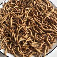 Kesrer — médicaments secs, 10 pièces, ultrafine de médicaments, insectes comestibles pour animaux de compagnie