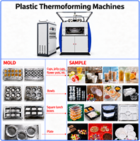 Machine de thermoformage de gobelets en plastique PP PET PS, machine automatique de fabrication de gobelets jetables pour yaourt, café, crème glacée, avec changement rapide de moule
