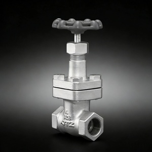 Vanne en fonte ductile 20KSLS JIS 20K à extrémités à brides manuelles DN15/DN20 pour applications eau et huile, support personnalisé 028 20KSLS JIS 20 - Product Image 3