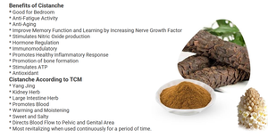 Le pillole energetiche in polvere sfuse più vendute Anti-fatica per piante a base di erbe Cistanche recuperano <span class=keywords><strong>CFS</strong></span> - Product Image 6