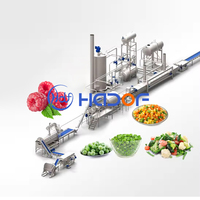 Automatische Productielijn Van Bevroren Groenten Fruit En Groente Iqf Bevroren Machine/Voedsel Bevriezing Productielijn