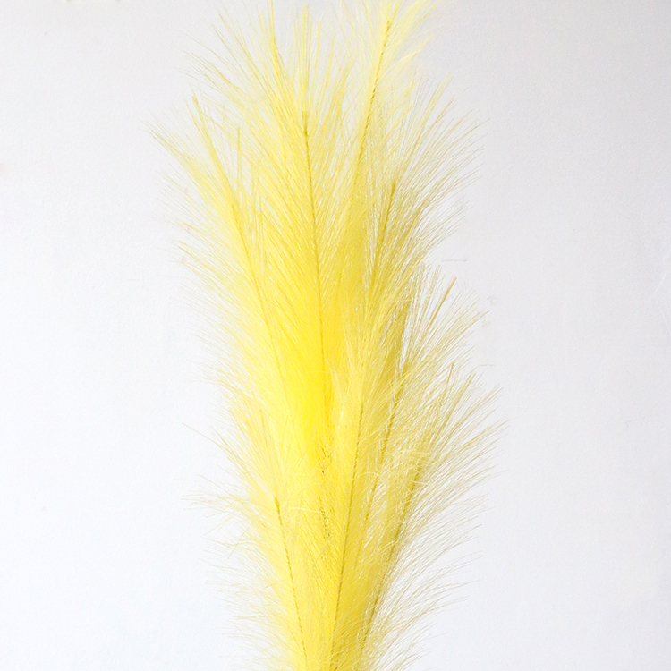 สีเหลือง