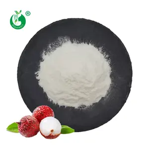 Pincredit all'ingrosso 100% polvere di frutta naturale polvere di succo di Litchi biologico