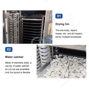 เครื่องอบแห้งแช่แข็งสำหรับอุตสาหกรรมในมหาสมุทร200กก. 1000กก. เครื่องอบแห้งแช่แข็งแบบสุญญากาศสำหรับอาหารออสเตรเลีย - Product Image 3