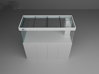 Réservoir de poissons d'aquarium de 250 gallons avec aquariums et accessoires