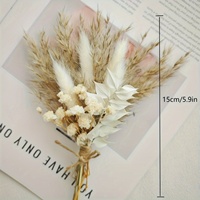 Buket Rumput Pampas Kering Mini Ukuran Khusus DIY Dekorasi Boho Kecil Hiasan Bunga Alami untuk Rumah Toko Hadiah