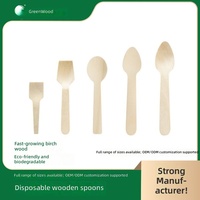 Petite cuillère en bois jetable, logo personnalisé, bois de bouleau, écologique, biodégradable, emballée, 100 pièces par sac, fête, restaurant