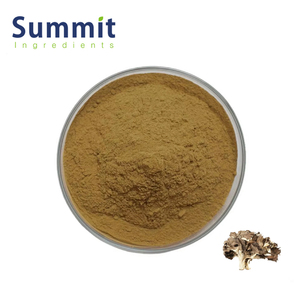 Yüksek Kaliteli Gıda Sınıfı Doğal Organik Maitake Mantarı Ekstresi Tozu Maitake Ekstresi Tozu - Product Image 1