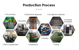 Opper-vaporizador para el hogar, máquina de esterilización y eliminación de gérmenes - Product Image 6