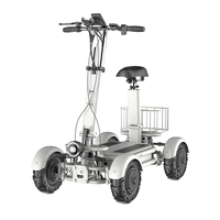 Plage ou Route Pneu 4 Roues Double Entraînement Batterie Au Lithium Mini Électrique Abordable Luxe Dune Buggy pour Adultes