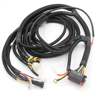 Harnais de câblage électronique automobile personnalisé pour injecteur de carburant de camion, moteur LS - PVC+Cuivre 12V/30V