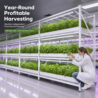 Système de culture hydroponique vertical mobile à plusieurs niveaux pour plantes d'intérieur