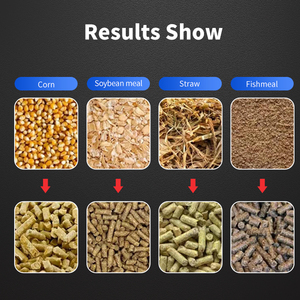 Neue BC Metallkorn-Nutzviehfutter-Sojabohnen-Fischfutter-Verarbeitungs-Pelletiermaschine mit 80 Tonnen/Stunde Kapazität und Dieselmotor - Product Image 6