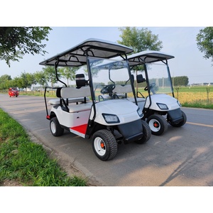 Voiture électrique tout-terrain homologuée pour <span class=keywords><strong>la</strong></span> route, chariot de <span class=keywords><strong>chasse</strong></span>, buggy de golf, batterie au lithium, avec pare-brise, ceintures de sécurité et éclairage LED - Product Image 4