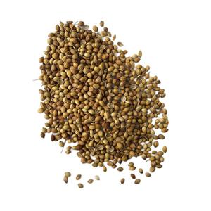 香菜籽 新鲜风格 天然香草 密封包装 工厂供应 单一香料 健康调味料 用于烹饪和美食 - Product Image 6