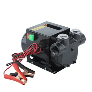 Bomba de transferencia de combustible diésel de gran flujo, dispensador de aceite móvil, cc 12V 24V, 60L/Min