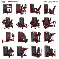 Services de conception de salle de sport, planification d'équipements, installation complète, machines de musculation professionnelles, solutions pour centre de remise en forme commercial
